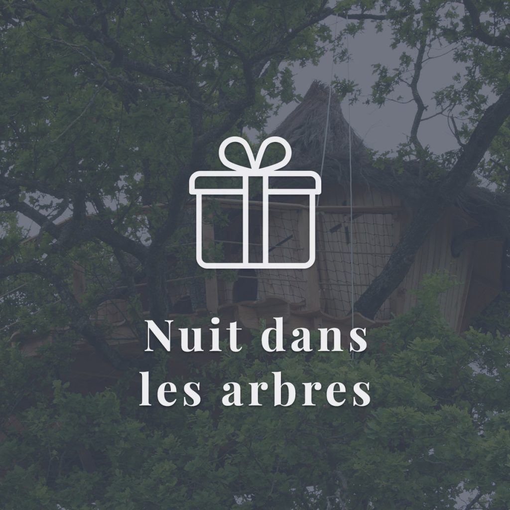 Bon cadeau Duo cabane dans les arbres