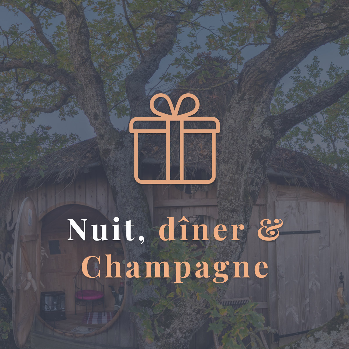Bon cadeau Duo nuit, dîner et Champagne