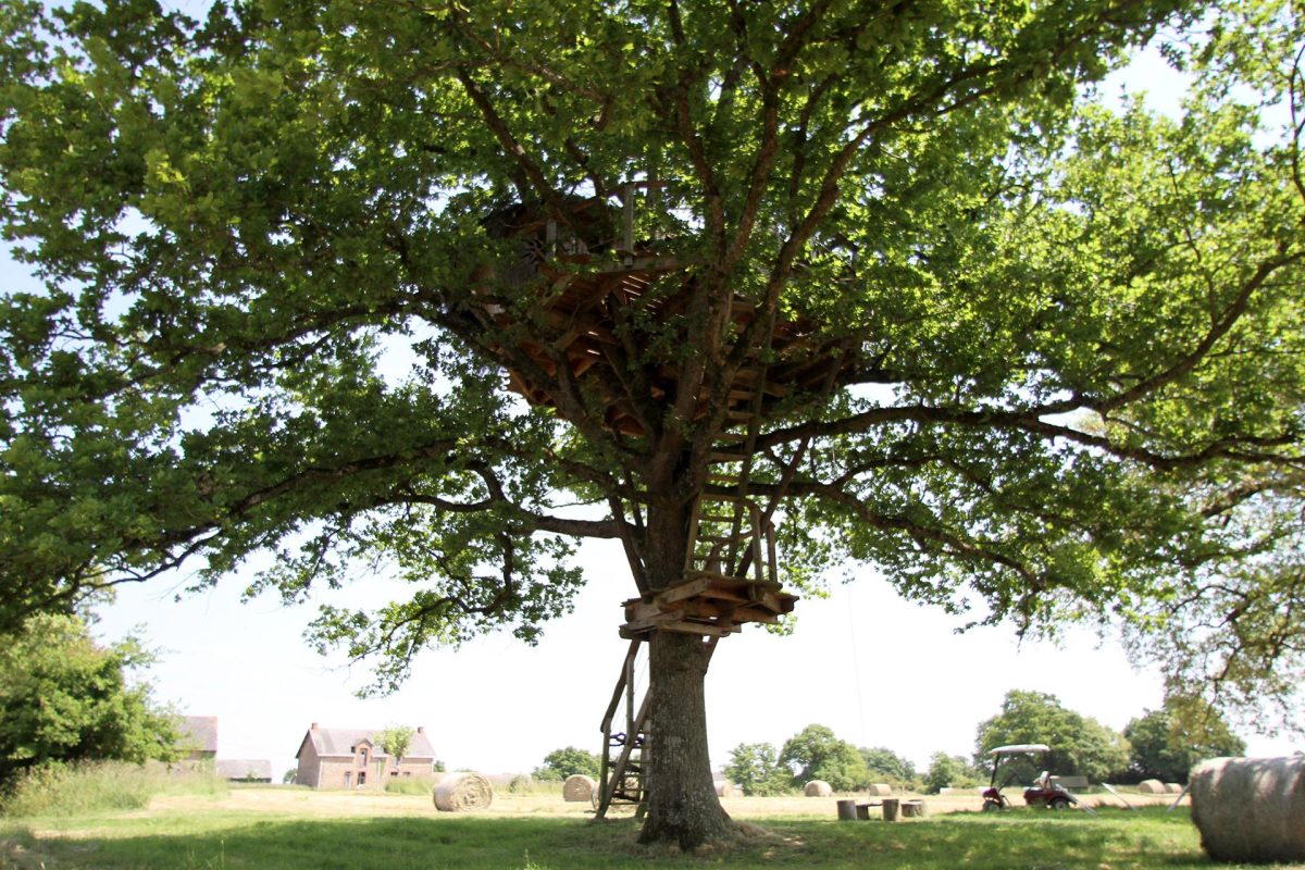 Cabane dans les arbres et ferme