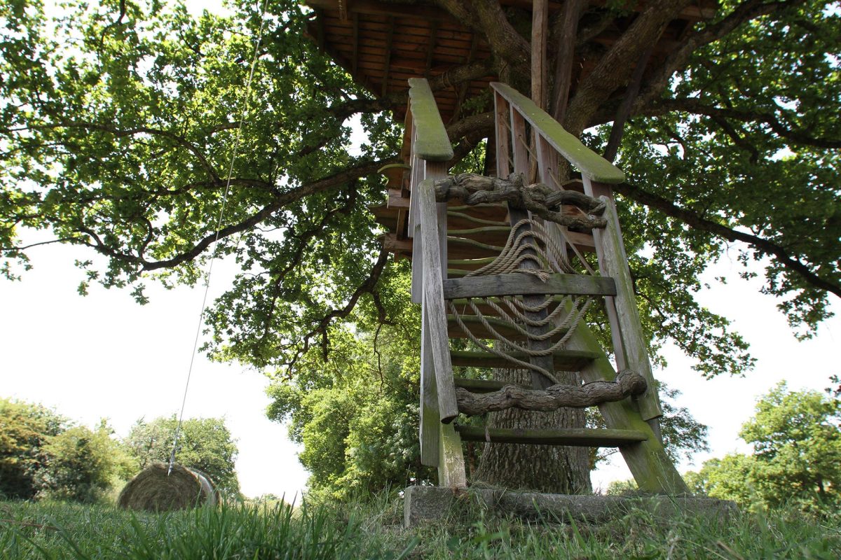 Cabane arbre accès