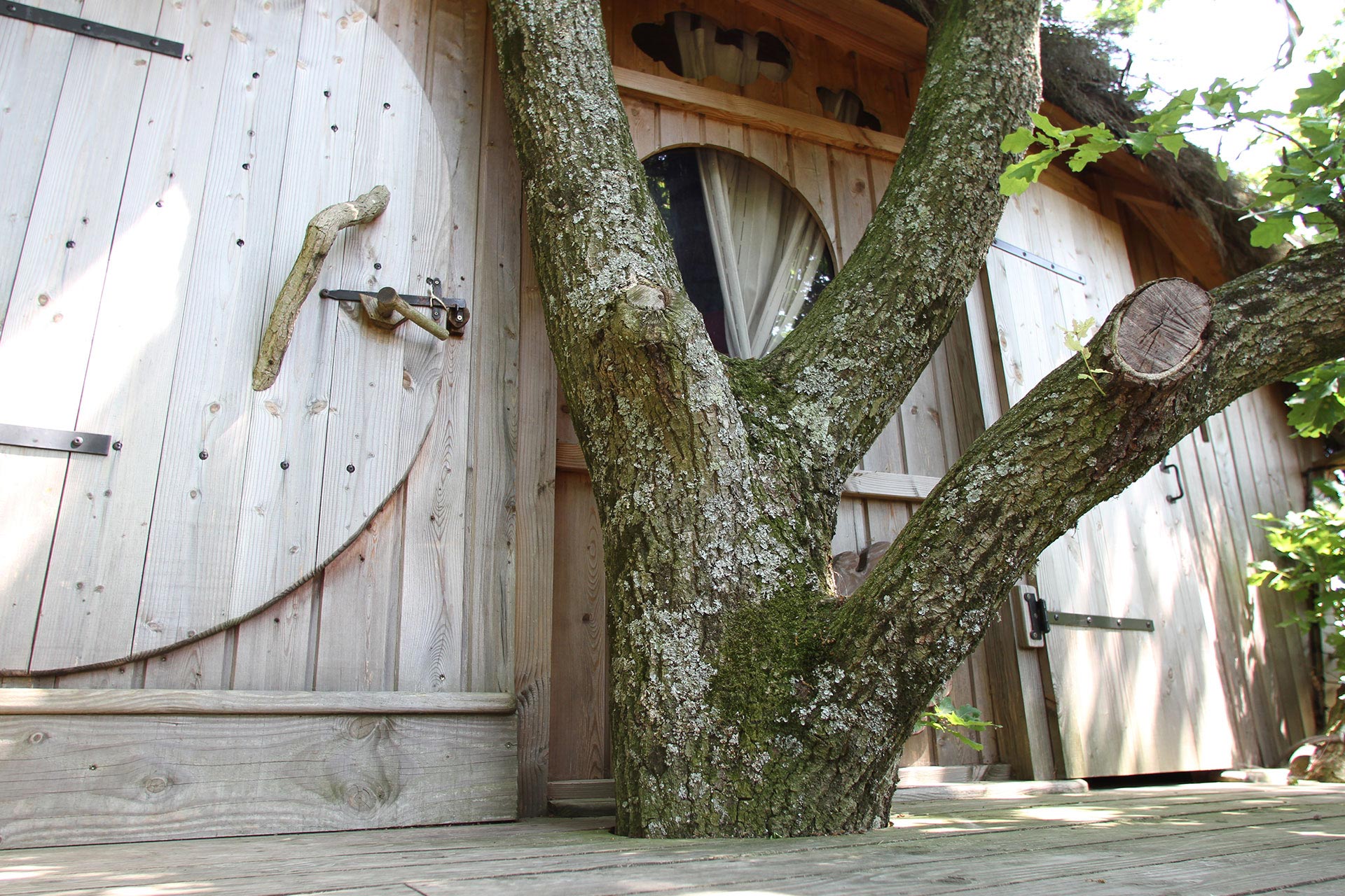 Cabane arbre tronc terrasse