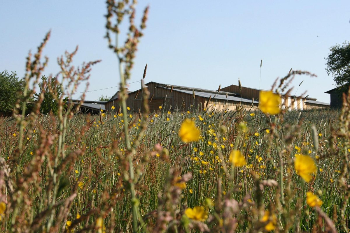 Ferme fleurs