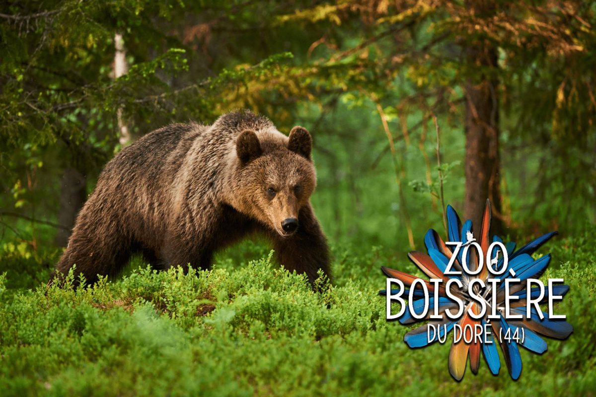 Zoo la Boissière du Doré